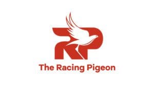 Racing Pigeon Logo